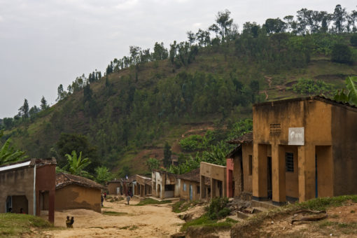 Direct Trade Rwanda "Gatare Station" Coffee - Image 4